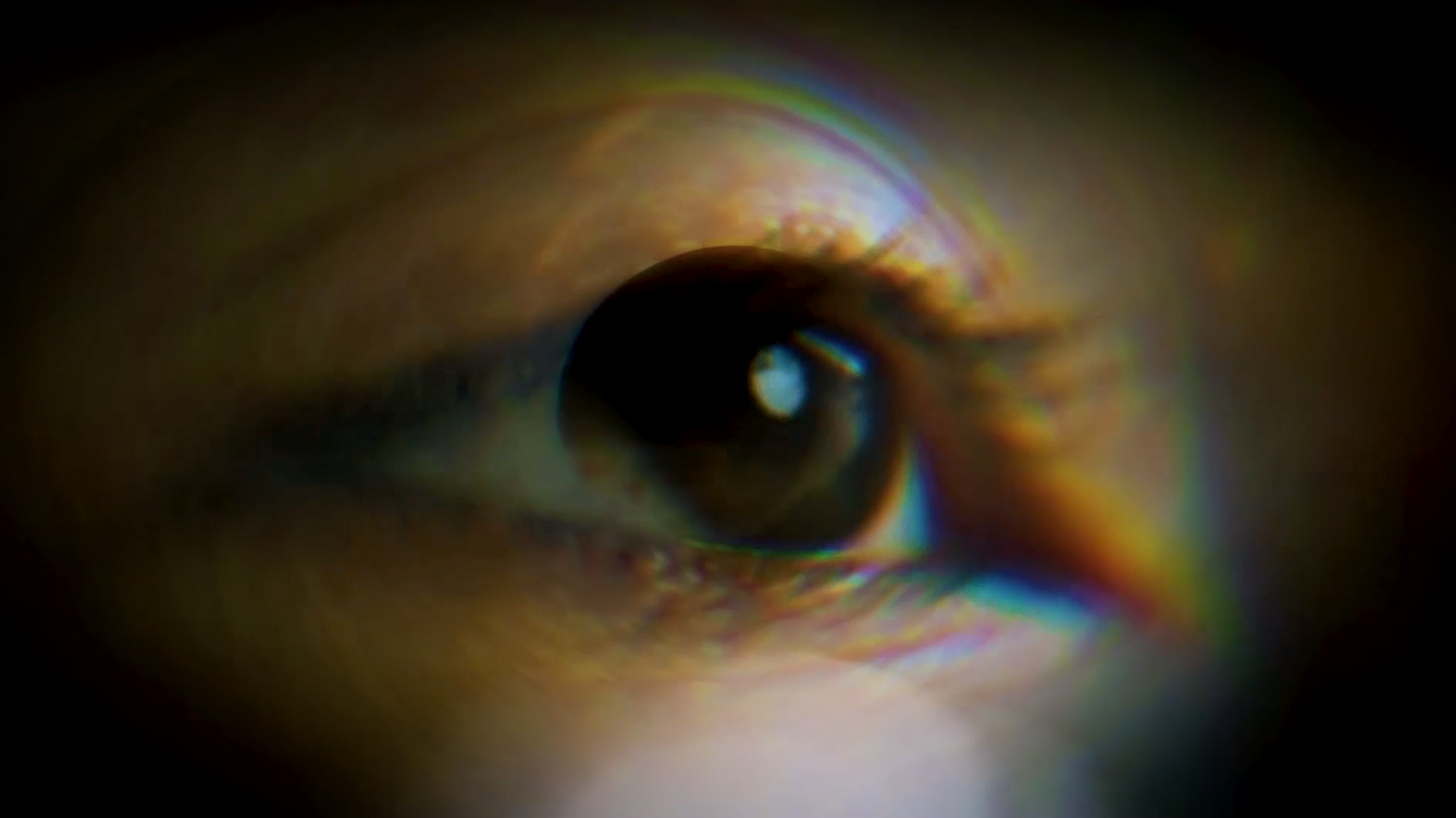 ECLIPSE (fashion movie) - Wella Professionals